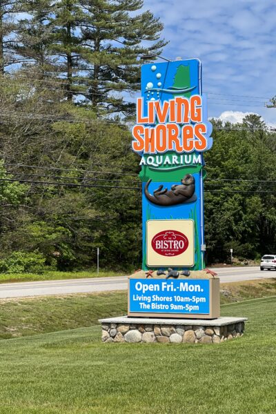 A Memorable Adventure at Living Shores Aquarium: Unleashing the Wonders of Nature for Our Kids